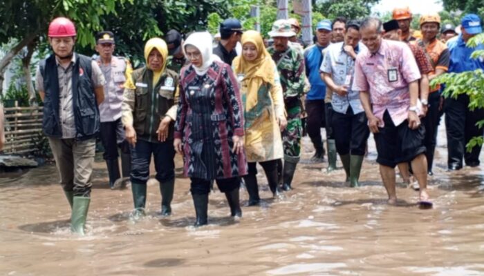 Pj Bupati Lumajang Terjun Langsung Tinjau ke Warga Terdampak Banjir di Desa Rowokangkung 