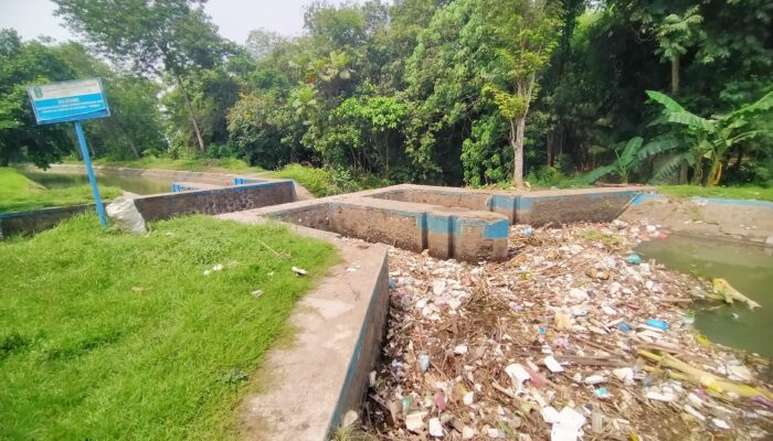 Aliran Sungai Bondoyudo Baru di Sukorejo Bangsalsari Penuh Sampah, Kinerja SDA Provinsi Dipertanyakan