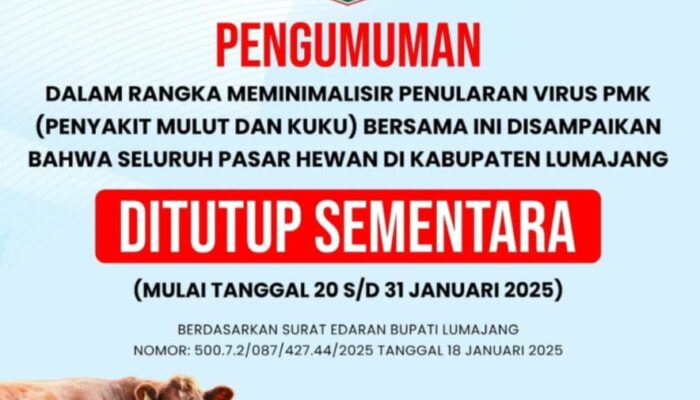 PMK Kembali Serang Ternak Sapi dan Kambing, Operasional Pasar Hewan di Lumajang Dihentikan Sementara