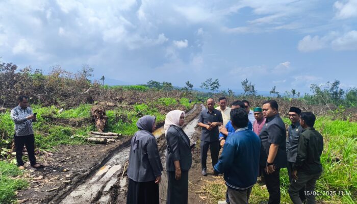 Komisi C DPRD Lumajang Lakukan Sidak ke Perkebunan PT. Kalijeruk, Sejumlah Indikasi Ditemukan