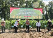 Sukseskan Program Jendral Polisi Listyo Sigit Prabowo, Kapolres Jember Tanam Jagung Serentak Kuartal III di Desa Sidodadi 