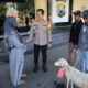 Polres Bondowoso Amankan Tersangka Pencurian Hewan, BB Kambing Dikembalikan ke Pemilik 