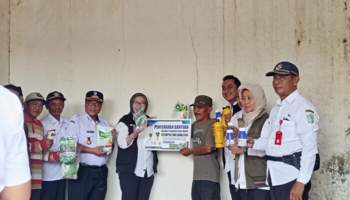 Petani Cabai dan Semangka di Lumajang Dapat Bantuan Program DBHCHT 