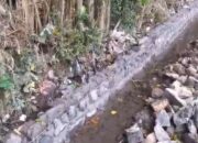 Proyek Irigasi PU Pengairan Bayuwangi Syarat Korupsi Berjamaah, Ditengarai Lahan Bancakan Oknum untuk Memperkaya Diri