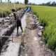 Proyek Siluman, Pembangunan Saluran Irigasi Persawahan di Blukon Lumajang Tanpa Papan Nama