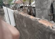 Terindikasi Ada Kongkalikong, Dinding Bata Merah Terpasang pada Proyek Pagar Beton Precast di Pelabuhan Watu Ulo Jember