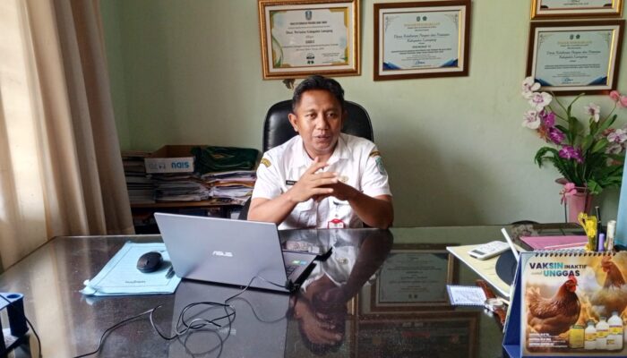 Cuaca Tak Menentu, Pemkab Lumajang Imbau Peternak Waspada