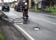 Waspada! Jalan Provinsi Lumajang- Yosowilangun Berlubang dan Bergelombang, Sudah Bikin Orang Dlosor 