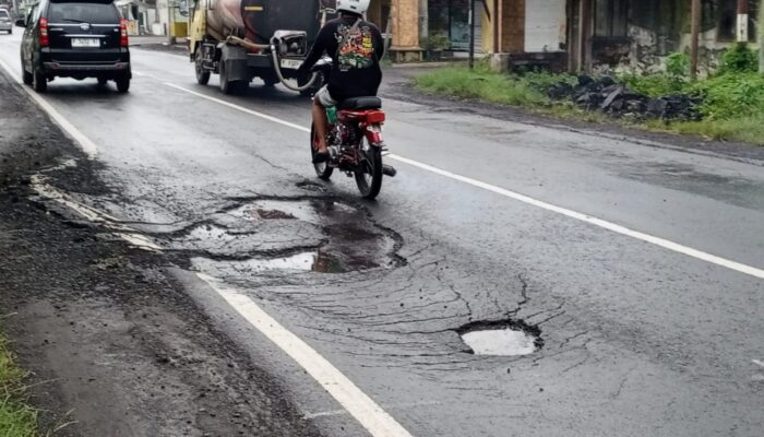 Waspada! Jalan Provinsi Lumajang- Yosowilangun Berlubang dan Bergelombang, Sudah Bikin Orang Dlosor 
