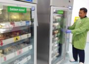 Inovasi Suvenir Jadi Magnet, Donasi Darah Ramadan PMI Jember Tembus 3.000 Kantong