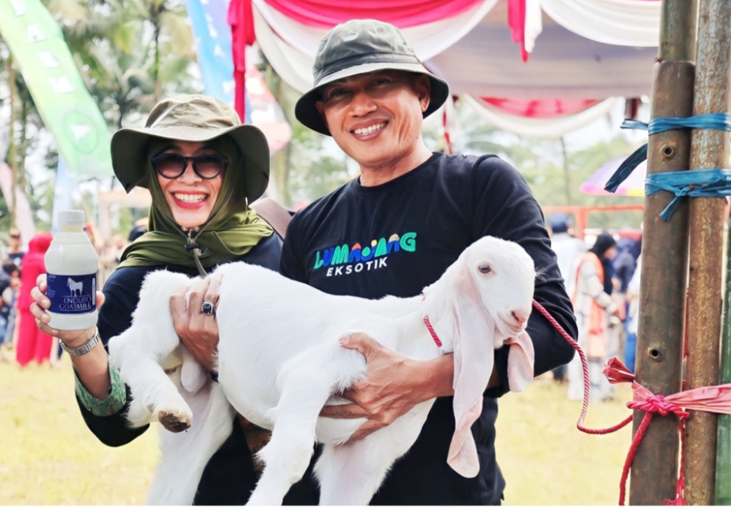 Susu Kambing Senduro Jadi Pengungkit Ekonomi Desa Lumajang