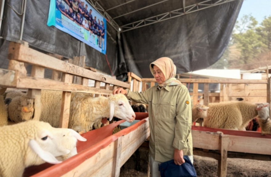 Jelang Iduladha, DKPP Lumajang Intensifkan Pemeriksaan Kesehatan Hewan Kurban