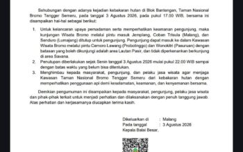 Kebakaran di Blok Bantengan, TNBTS Tutup 3 Pintu Masuk Bromo Mulai Malam Ini