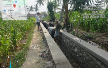 Proyek Irigasi Ajung Kalisat Rp100 Juta Jadi Sorotan, Pekerja Ungkap Galian 30 Cm Tanpa Lantai Kerja